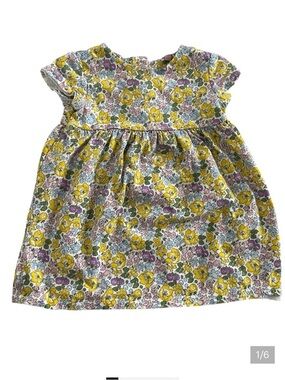 Baby Boden Floral Cotton Dress